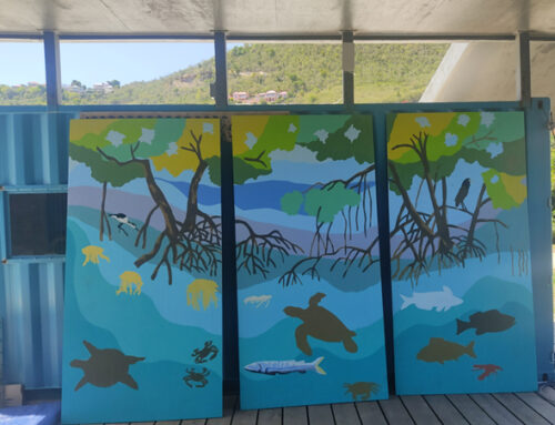 Enseñanza de español en las Islas Vírgenes Británicas